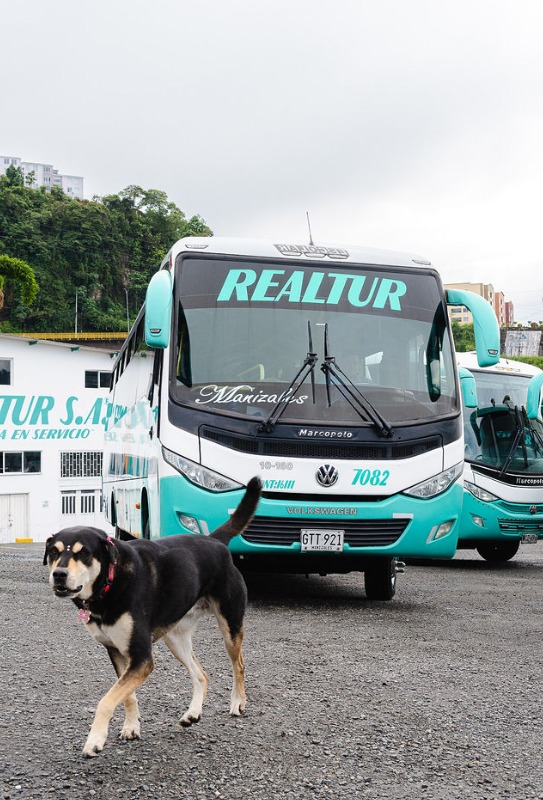 WhatsApp Image 2025-07-23 at 6.11.24 PM